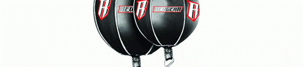 Speed Training with the Double End Bag